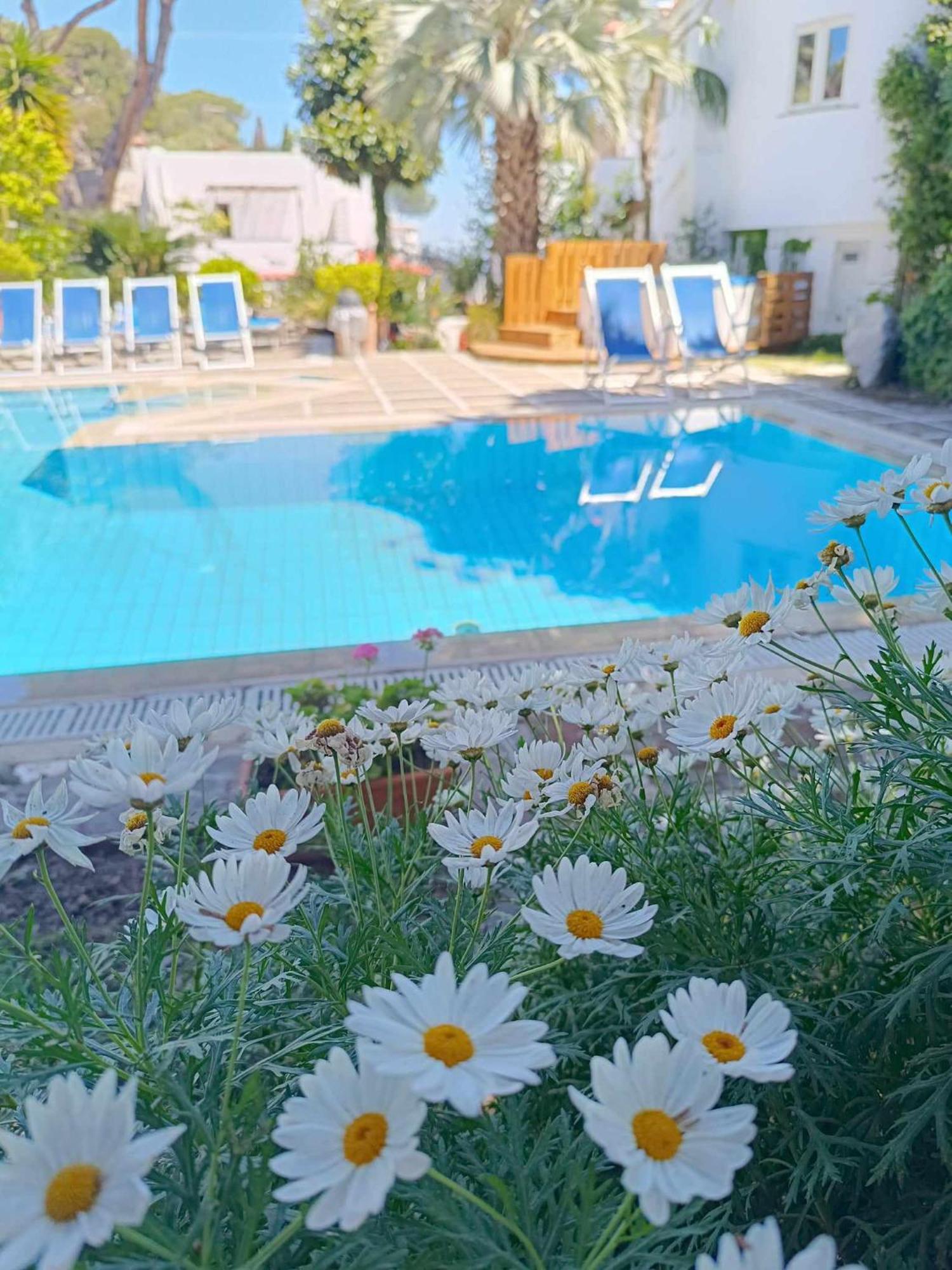 Villa Cinque Pini Casamicciola Terme Extérieur photo