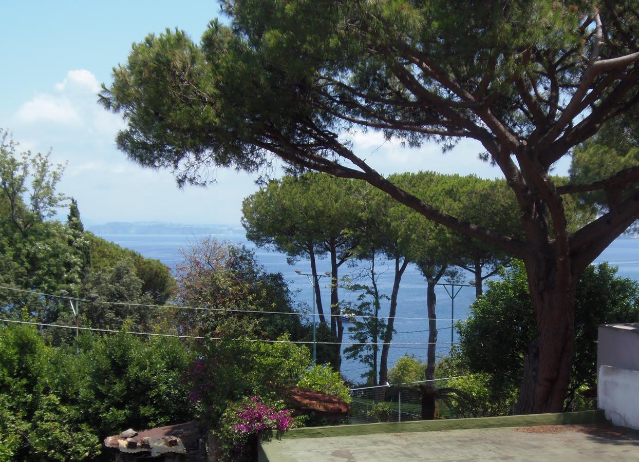 Villa Cinque Pini Casamicciola Terme Extérieur photo